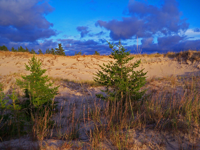 ludington dunes at sunset